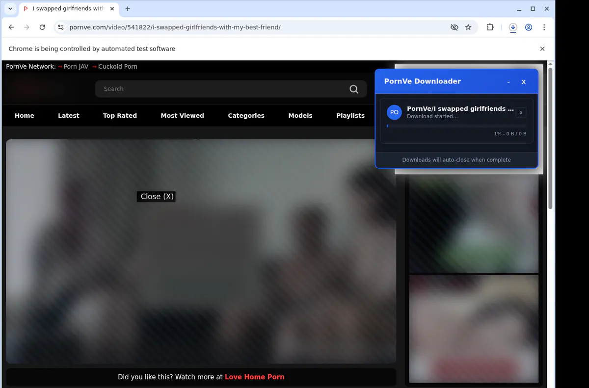 Pornve Video Downloader screenshot 3