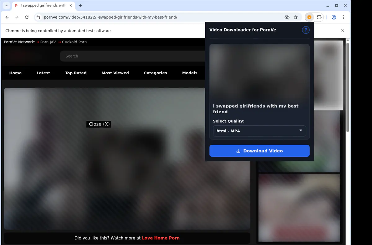Pornve Video Downloader screenshot 4